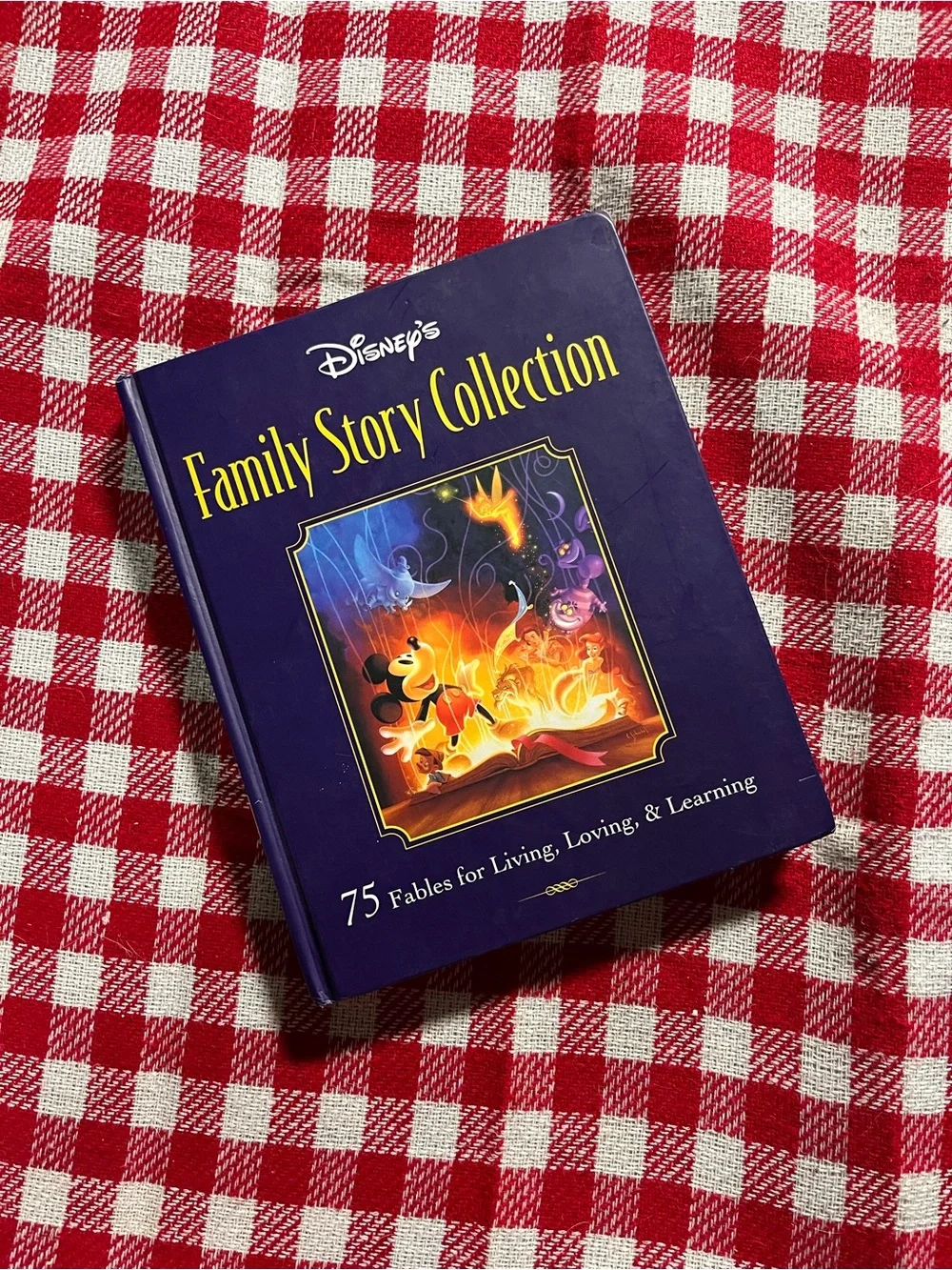 Disney Family Story Collection Hardcover Book